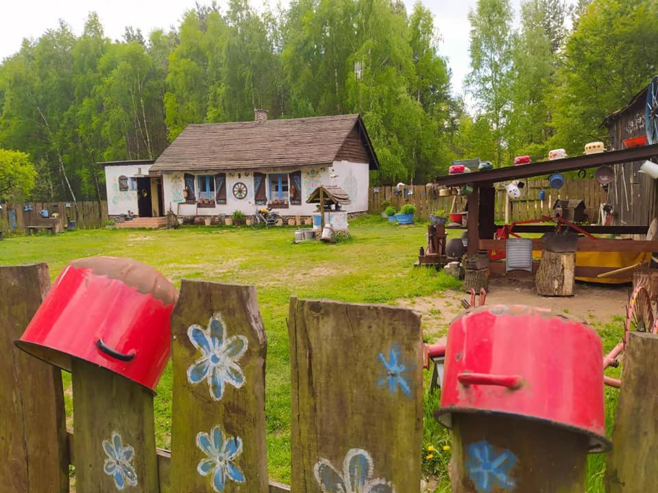 Zagroda Zalipie Gostynin Exteriör bild
