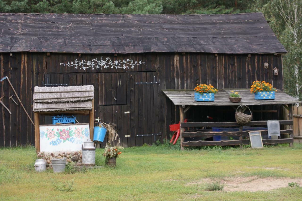 Zagroda Zalipie Gostynin Exteriör bild