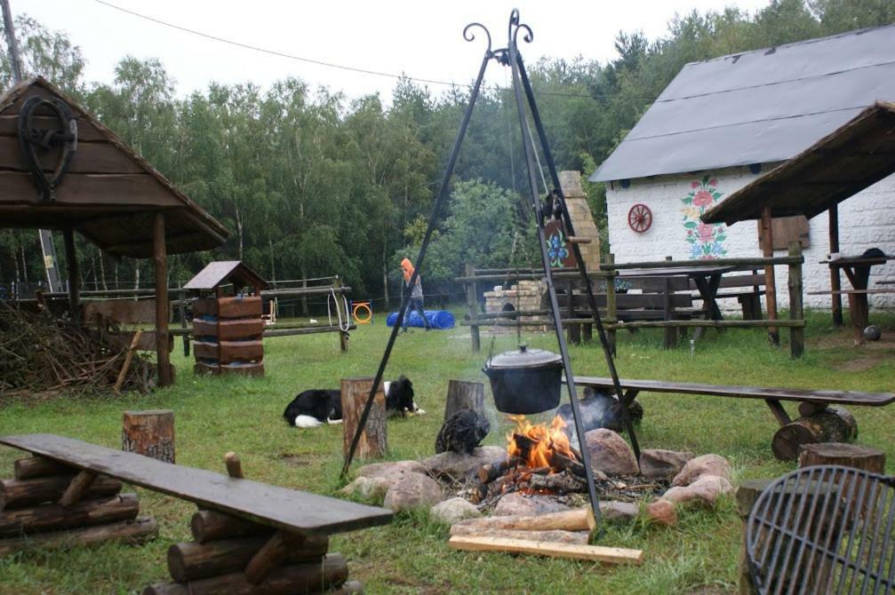 Zagroda Zalipie Gostynin Exteriör bild