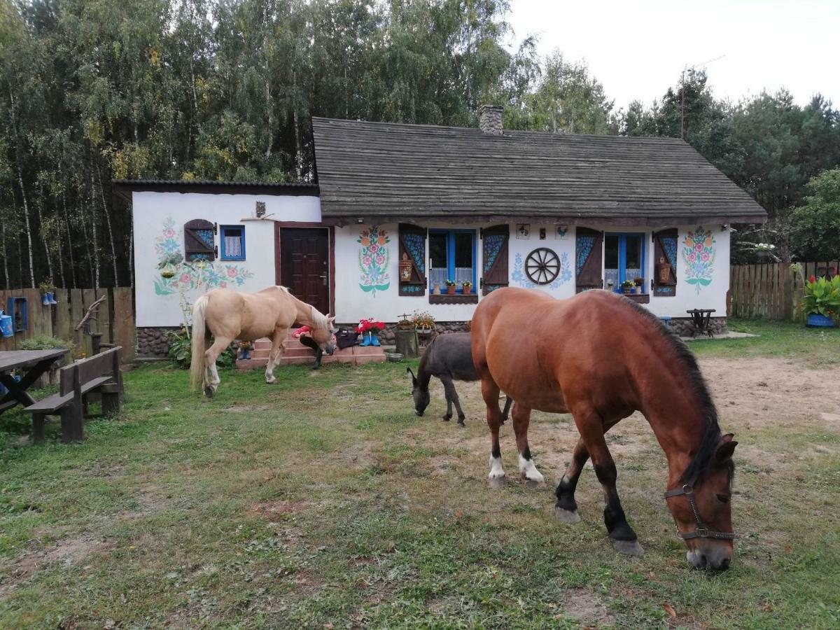 Zagroda Zalipie Gostynin Exteriör bild